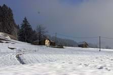 Winterspaziergang auf dem Alpweg oberhalb von Breiten.